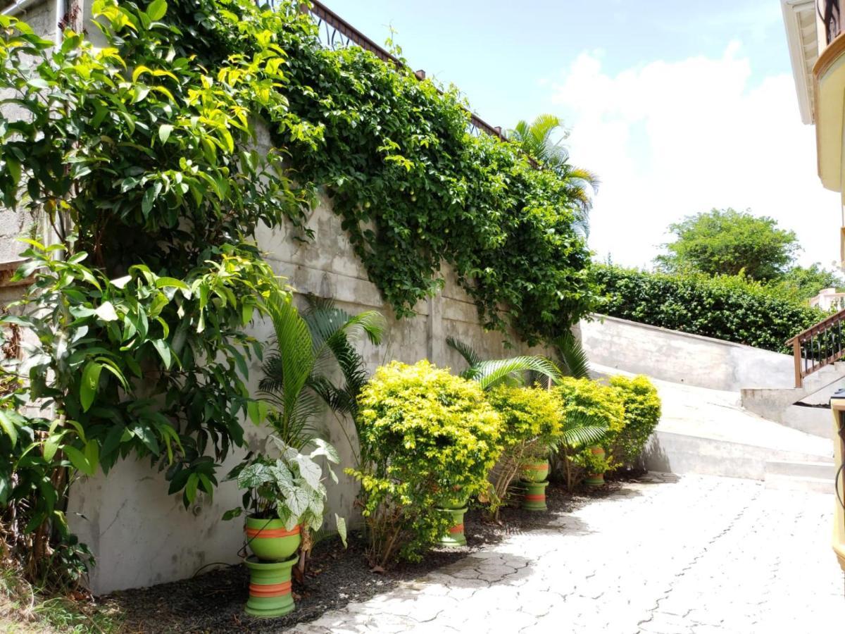 Keep Cool Guesthouse Gros Islet Eksteriør billede